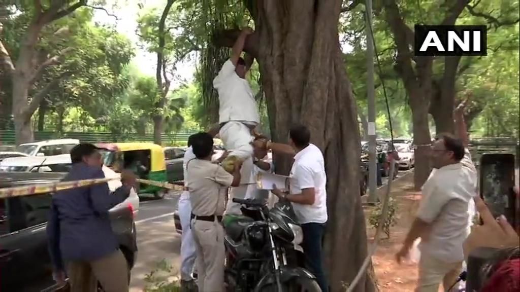 राहुल गांधी के इस्तीफा को लेकर रस्सी लेकर चढ़ा पेड़ पर युवक तो मचा हडकंप