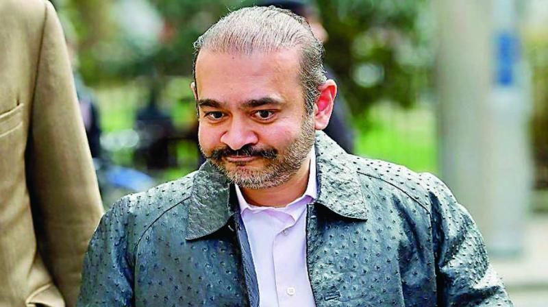 नीरव मोदी को DRT ने दिया झटका, कहा-पीएनबी और अन्य को 7200 करोड़ रुपये चुकाएं नीरव मोदी को DRT ने दिया झटका, कहा-पीएनबी और अन्य को 7200 करोड़ रुपये चुकाएं