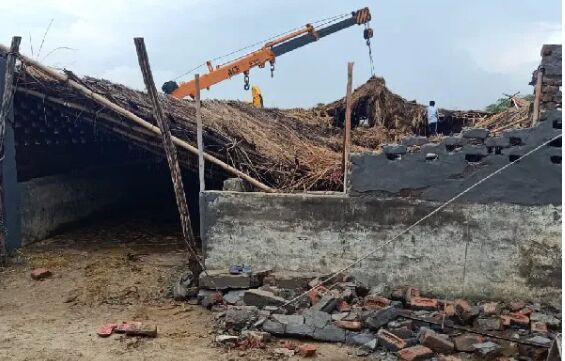 नोएडा में गौशाला भरभरा कर गिरी, एक दर्जन गाय की दबकर मौत दो दर्जन से ज्यादा घायल नोएडा में गौशाला भरभरा कर गिरी, एक दर्जन गाय की दबकर मौत दो दर्जन से ज्यादा घायल