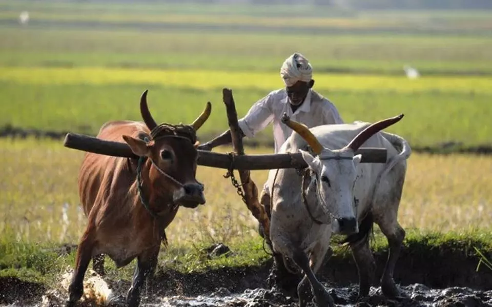 राहत पैकेज-3: सिर्फ छह घोषणाओं पर अमल तो अन्नदाता की खुशहाली तय