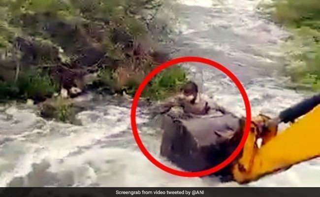 कुत्ते को बचाने के लिए JCB से नदी में कूद गया जवान, ऐसे बचाई जान... देखें Video कुत्ते को बचाने के लिए JCB से नदी में कूद गया जवान, ऐसे बचाई जान... देखें Video