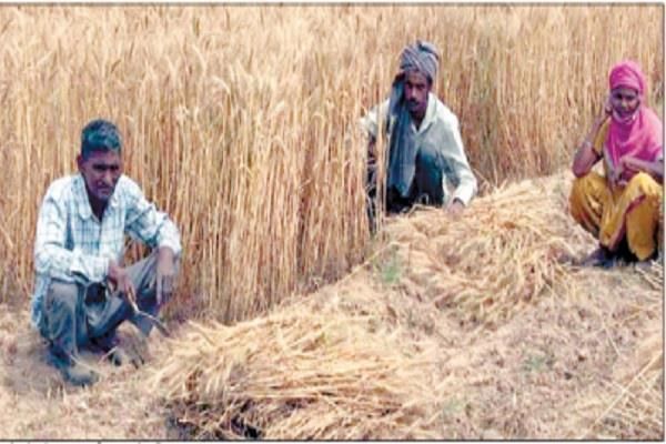 तो क्या अडानी लेने वाले है किसान के आढ़तियों की जगह! तो क्या अडानी लेने वाले है किसान के आढ़तियों की जगह!