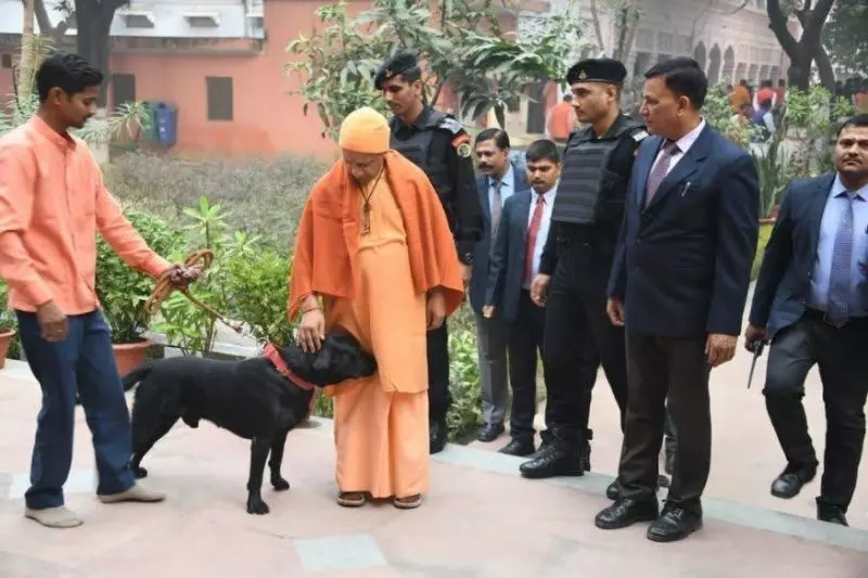 चुनावी भाषण में गुल्लू को लेकर तंज कसते रहे अखिलेश,बिस्किट लेकर मंदिर जाने की दी थी सलाह