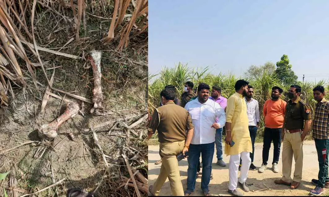 गोकशी की सूचना पर झिंझाना दौड़े सीओ और बजरंग दल