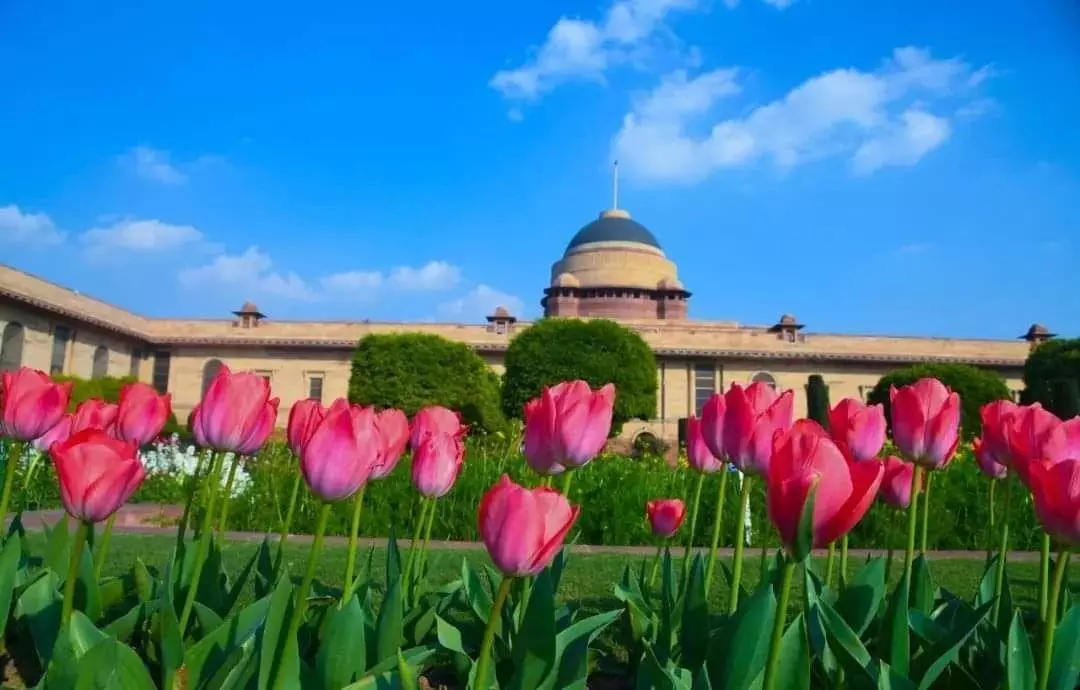 Mughal Garden : जानिए- मुगल गार्डन का क्या है इतिहास, क्यों है खास, अंग्रेजों ने बनवाया, अब अमृत उद्यान के नाम से जाना जाएगा