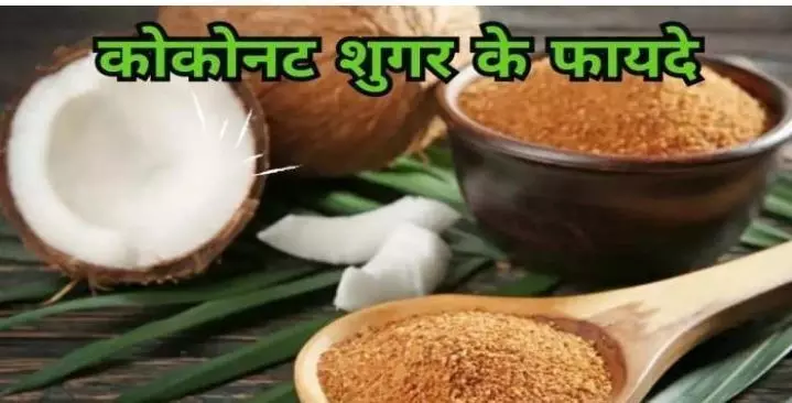 Healthy Sugar: अब शुगर खाकर भी आपका शुगर रहेग कंट्रोल, डायबिटीज वालों को नहीं होगा कोई डर, जाने इसके हैं कितने फायदे