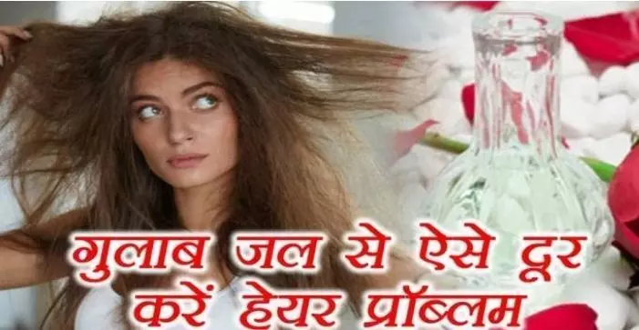 Summer Hair Care: अगर आपको भी चाहिए बालों में शाइन और सॉफ्टनेस, तो लगाए गुलाब जल इस तरह