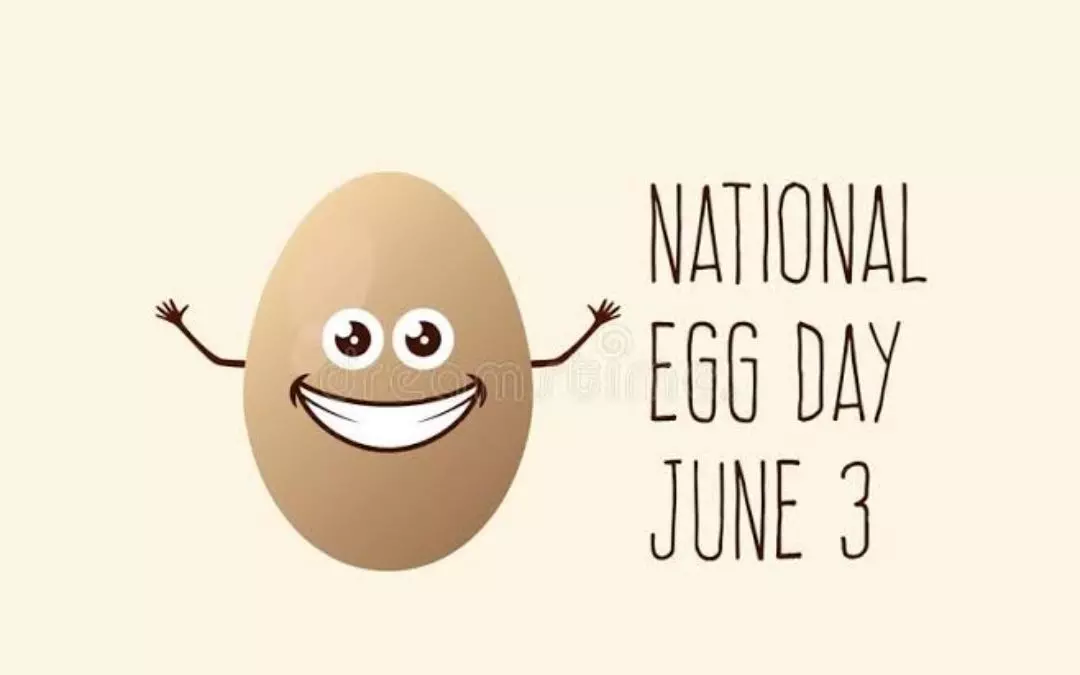 National Egg Day: अंडा खाने से आपके शरीर में क्या होता है?  जाने सच्चाई को