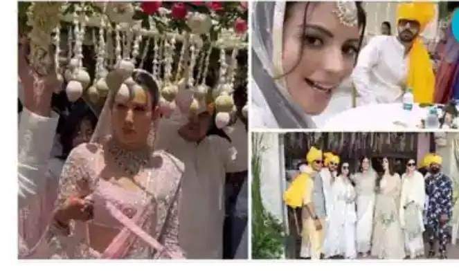 Sonnalli Seygall Wedding: गुलाबी रंग में बेहद खूबसूरत लगी ये दुल्हन