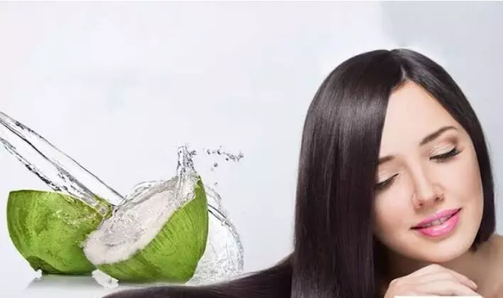 Hair Care Tips: अपने बालों को काला और घना बनाने के लिए लगाएं यह हर्बल वाटर,जाने कैसे करें उपयोग