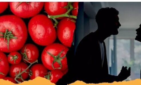 Tomato Price Hike