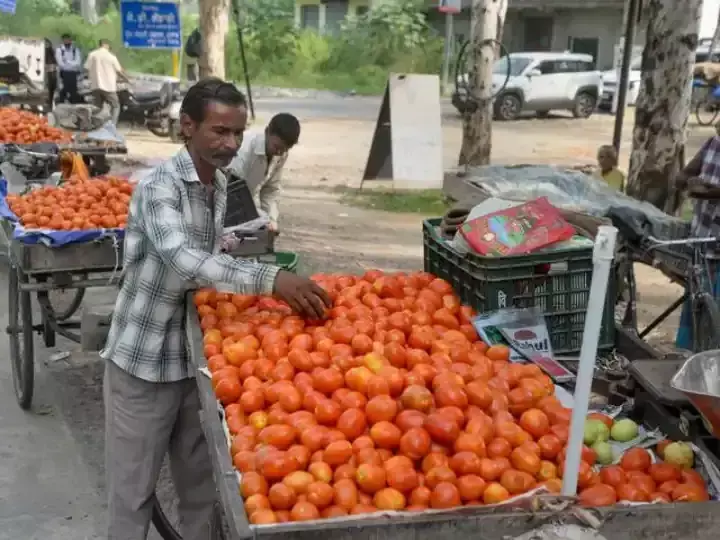 Cheap tomatoes can be available soon, prices fall by up to 30 percent in the wholesale market