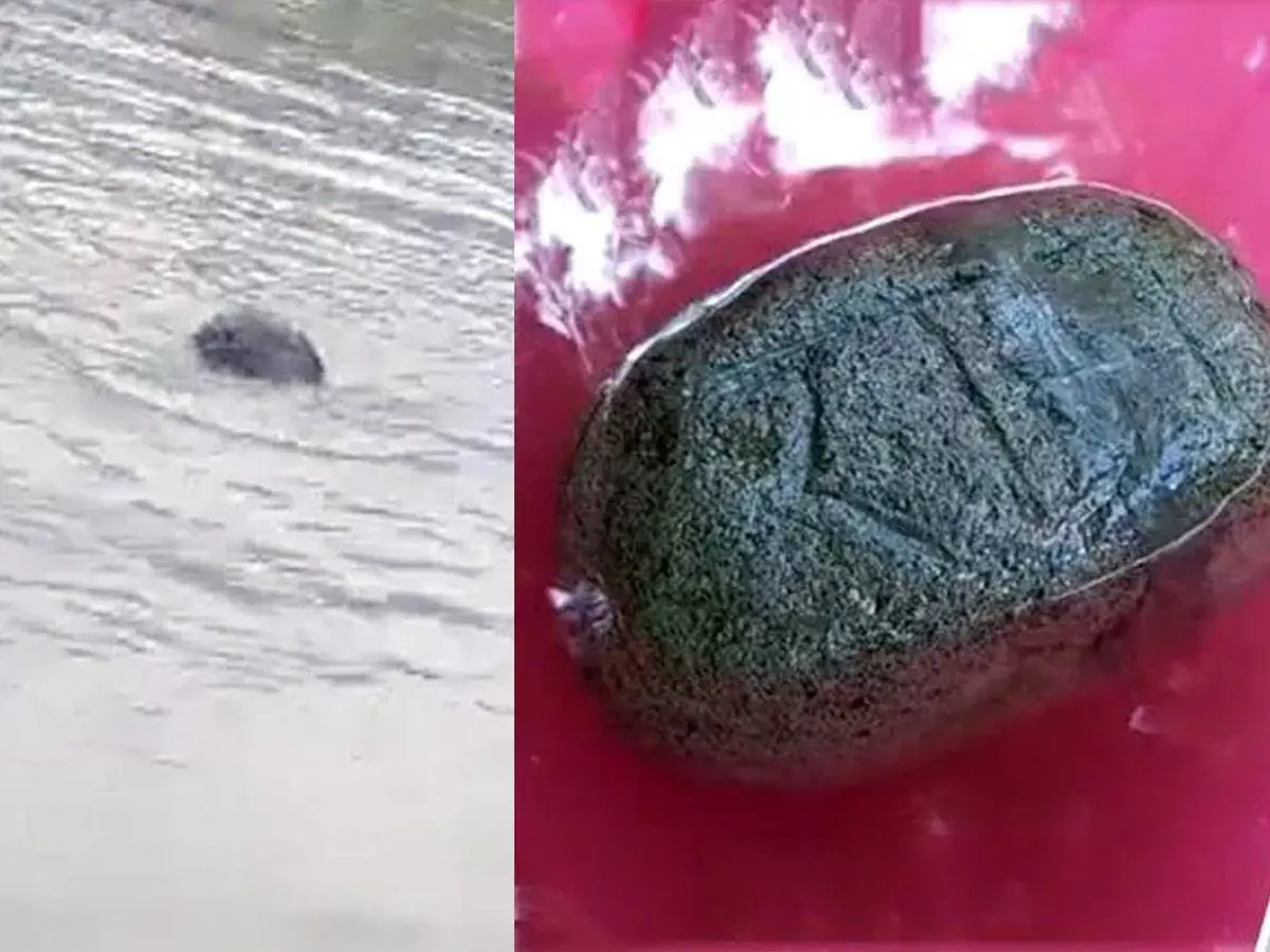 Crowd gathered in Patna to see a stone written on Ram found floating in the Ganges