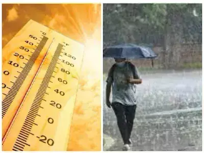 Heat is intense in UP today, where will it rain, know updates