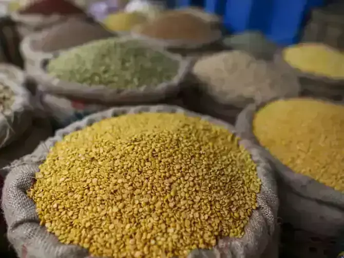 Prices of pulses may reduce, gifts will be available on festivals