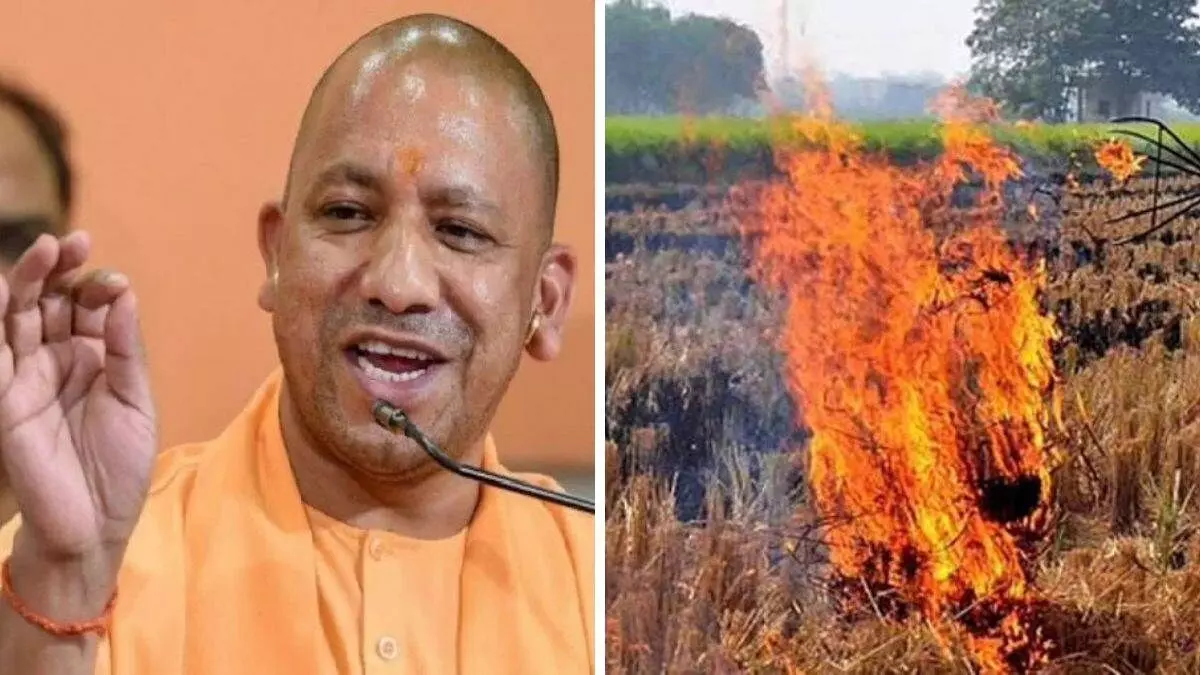 Action will be taken on stubble burning, Yogi government of UP is on alert