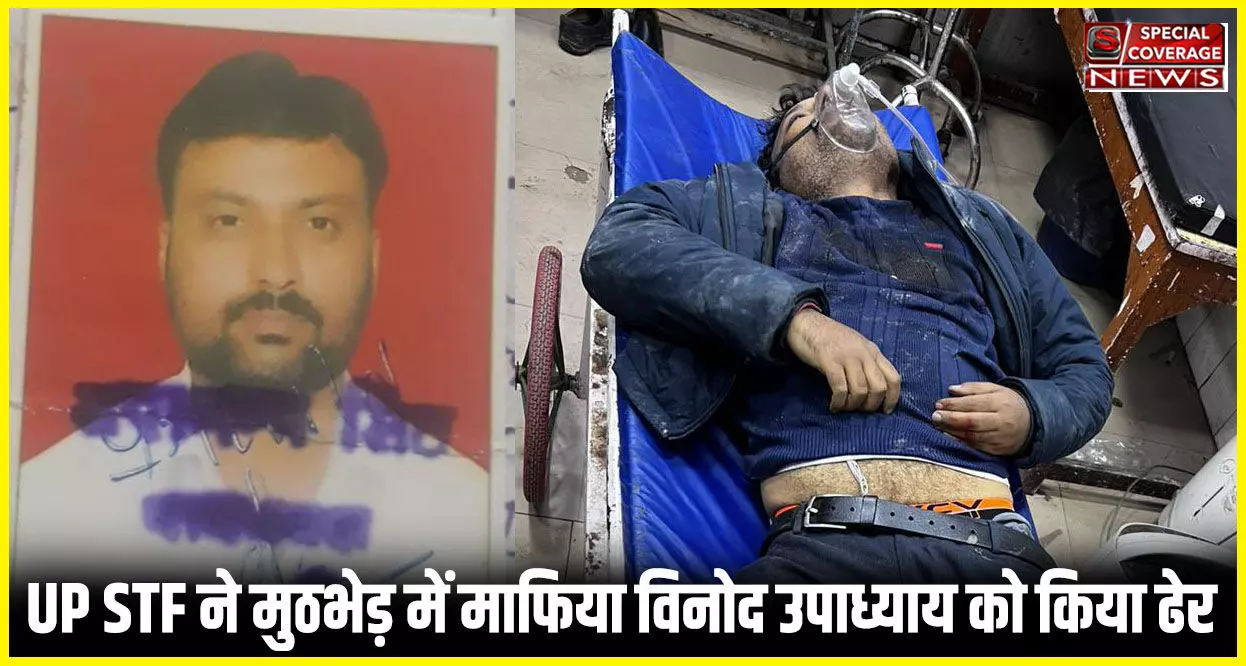 UP STF ने 1 लाख इनामिया गैंगस्टर विनोद उपाध्याय को एनकाउंटर मे किया ढेर, सुल्तानपुर में हुई मुठभेड़