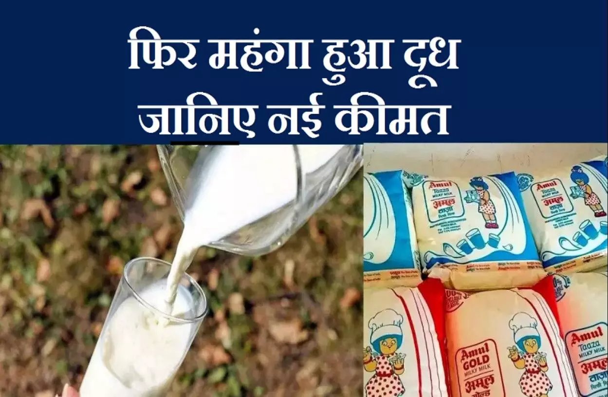 Milk Price Increase: इस राज्य में फिर बढ़ गए दूध के दाम, दो रुपये का हुआ इजाफा, कल से लागू होंगी कीमतें