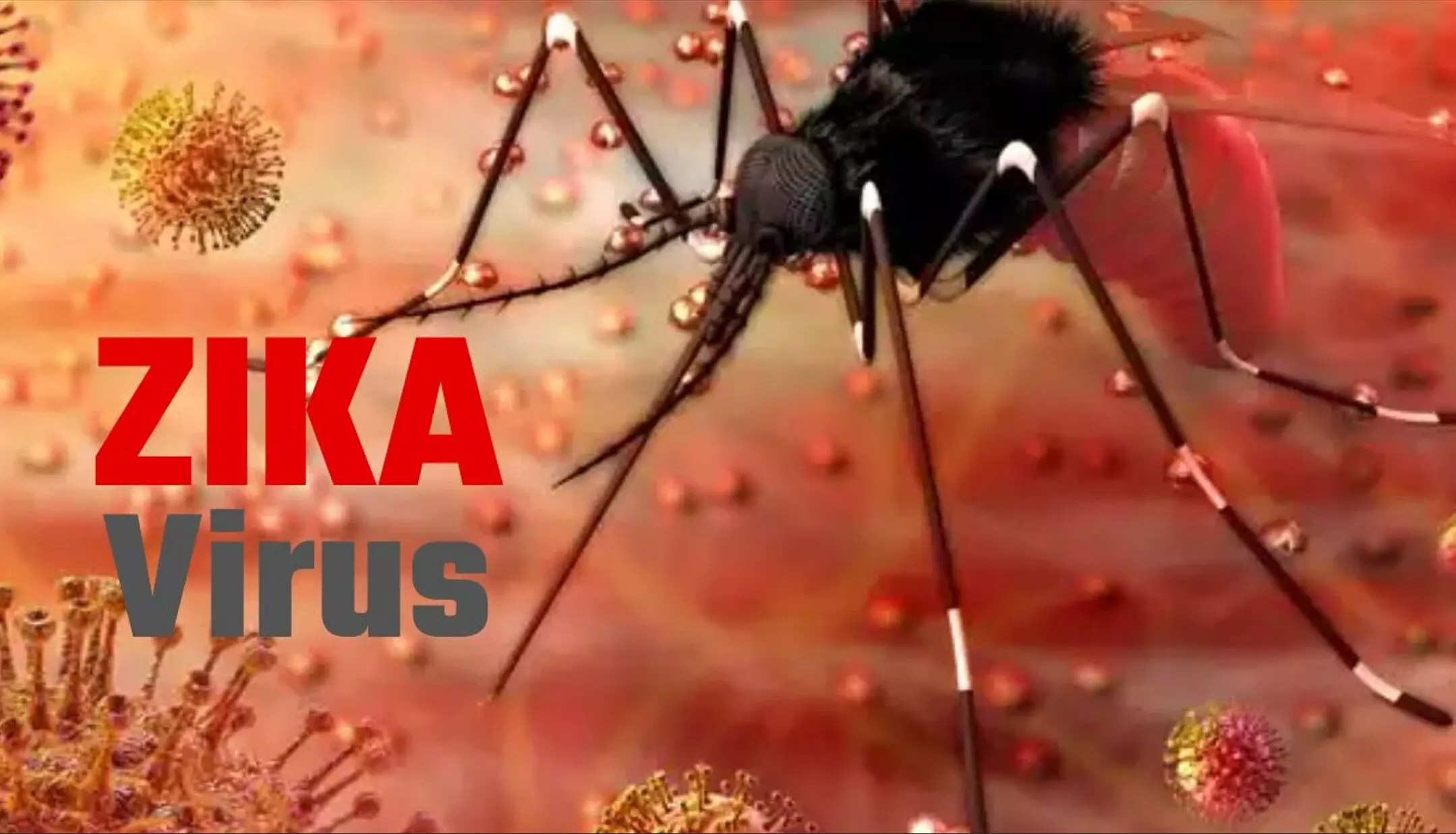 Zika Virus: महाराष्ट्र के पुणे में सामने आए जीका वायरस के 6 मामले, दो प्रेग्नेंट महिलाएं भी संक्रमित