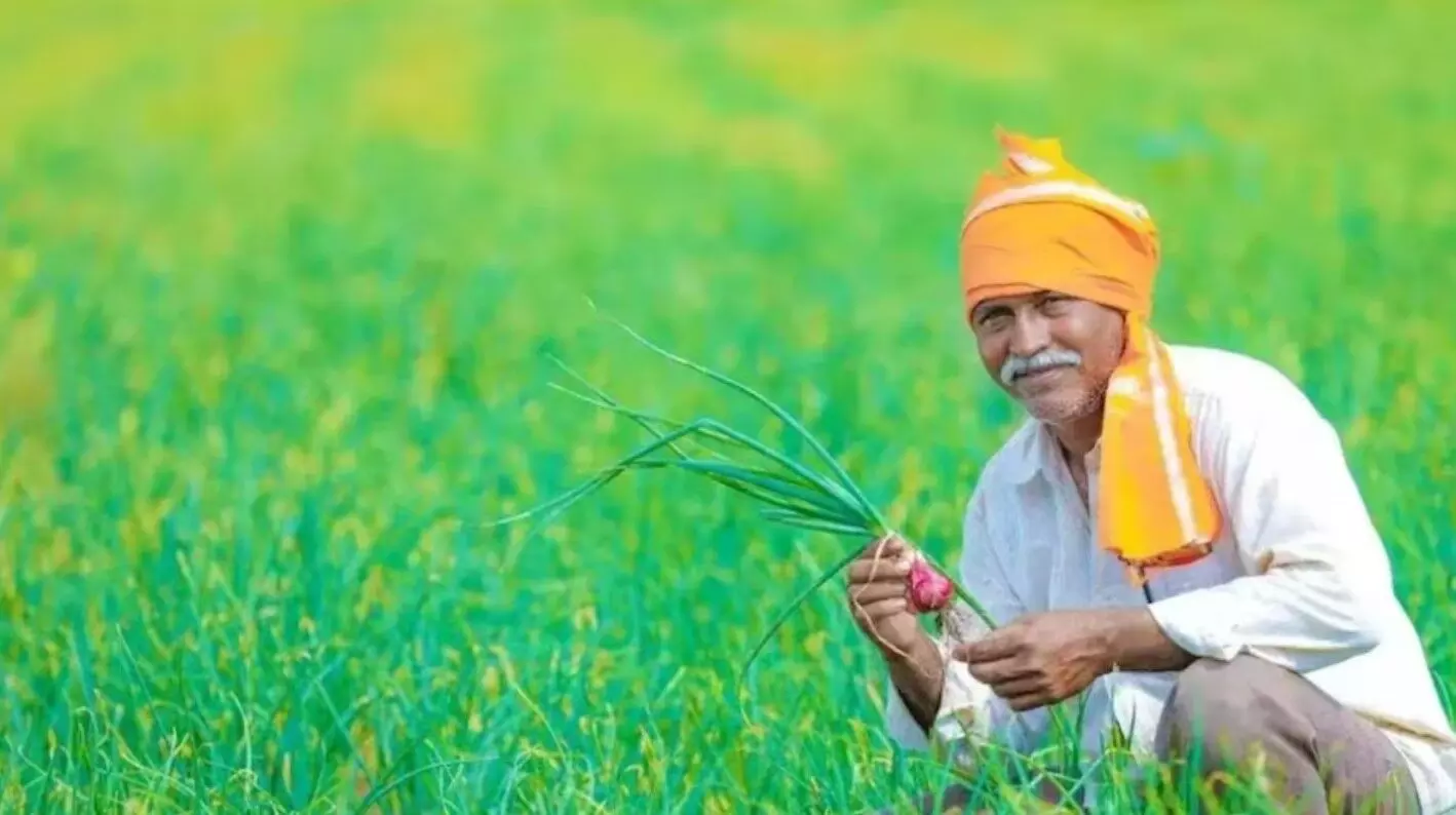 PM Kisan yojna: सिर्फ पांच दिन बाद किसानों के खाते में ट्रांसफर होगी 18वीं किस्त, इतने किसानों को मिलेगा लाभ