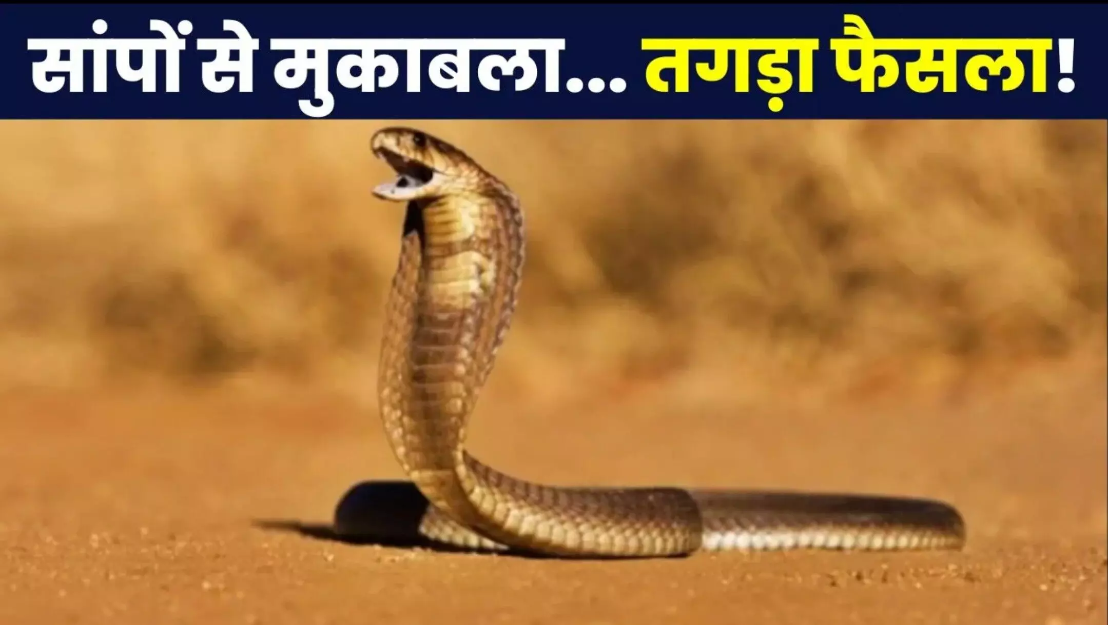 Snake bite declared as notified disease: Tamil Nadu में नोटिफाई डिजीज घोषित Snake Bite, आसान भाषा में समझिए फैसले के मायने, खत्म होगा सांपों का डर?