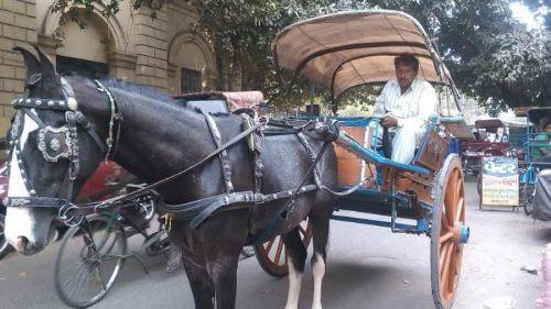 किस तरह थम गई दिल्ली के तांगों की रफ्तार!